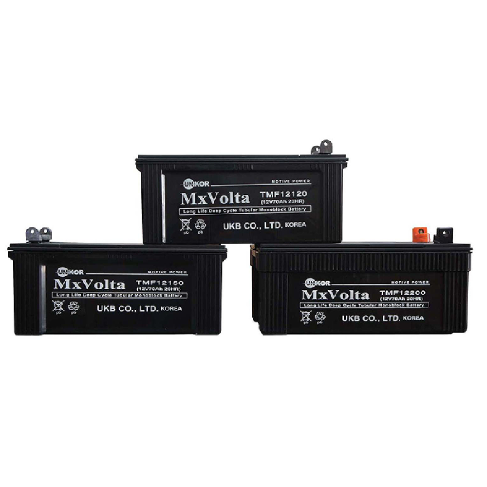 Tubular Maintenance Free battery