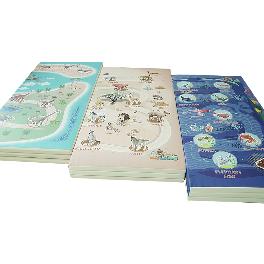 Educational Playmat: 4D GenieMat