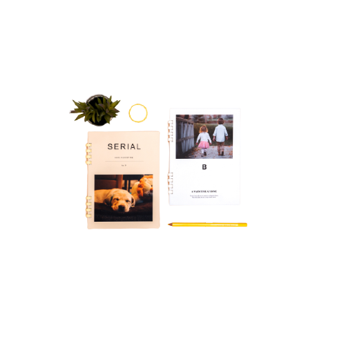 DCT Photo Memorial note | Memorial album, album, photo Album, Memorial album, album, photo Album